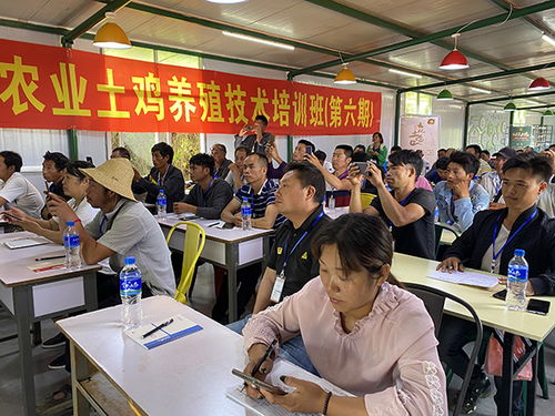 密林深處養(yǎng)土雞 文山云楓農(nóng)業(yè)科技發(fā)展有限責(zé)任公司丘北扶貧工作側(cè)記
