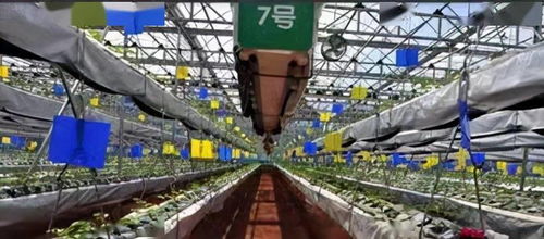 在黃河之濱品嘗豐收的味道