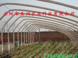 大棚骨架機(jī) 河南 安陽(yáng)