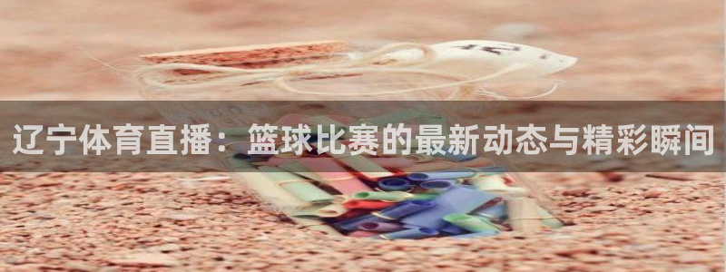 so米比赛直播