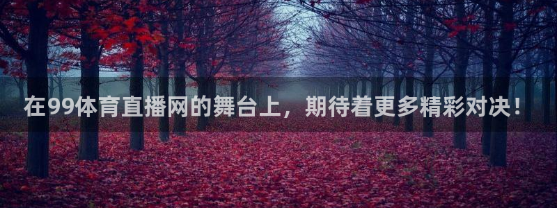 so米体育篮球直播：在99体育直播网的舞台上，期待着更多精彩对决！