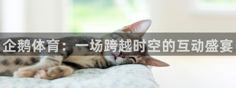 so米直播体育平台直播：企鹅体育：一场跨越时空的互动盛宴