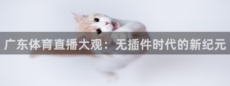 so米体育免费直播入口：广东体育直播大观：无插件时代的新纪元