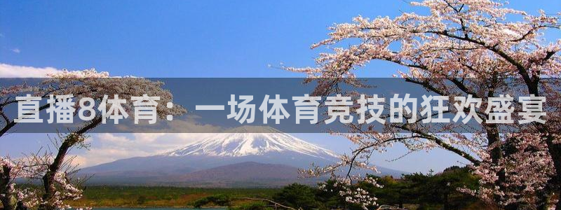 so米体育直播在线观看直播nba：直播8体育：一场体育竞技的狂欢盛宴