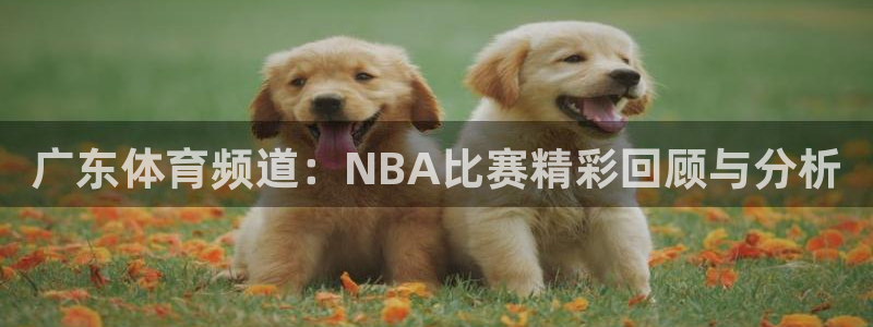 so米直播