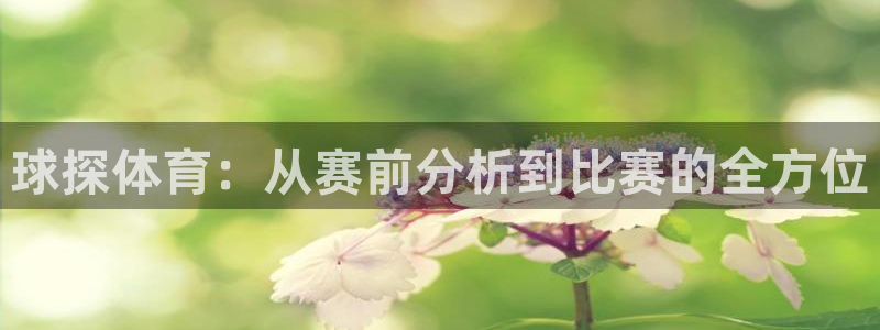 so米体育直播足球：球探体育：从赛前分析到比赛的全方位