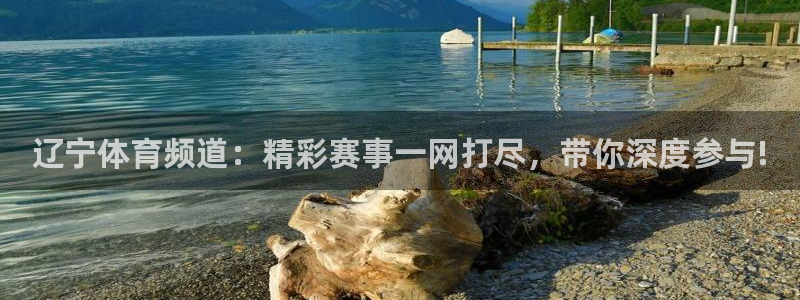so米nba直播：辽宁体育频道：精彩赛事一网打尽，带你深度参与!