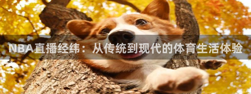 so米体育免费直播：NBA直播经纬：从传统到现代的体育生活体验