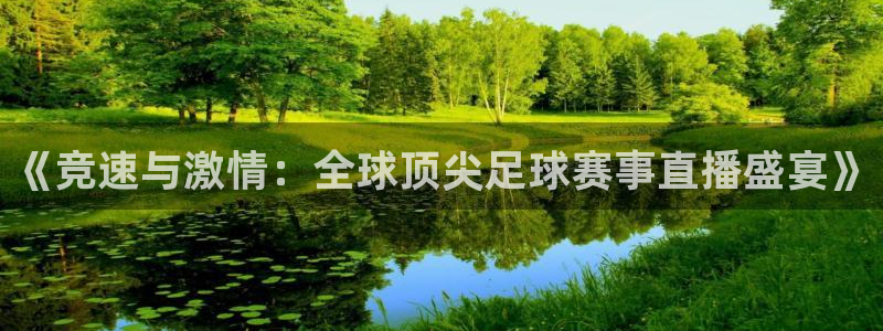 so米足球直播：《竞速与激情：全球顶尖足球赛事直播盛宴》