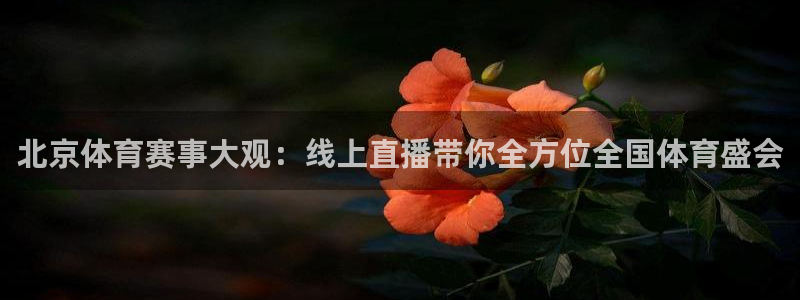 so米体育比赛直播：北京体育赛事大观：线上直播带你全方位全国体育盛会