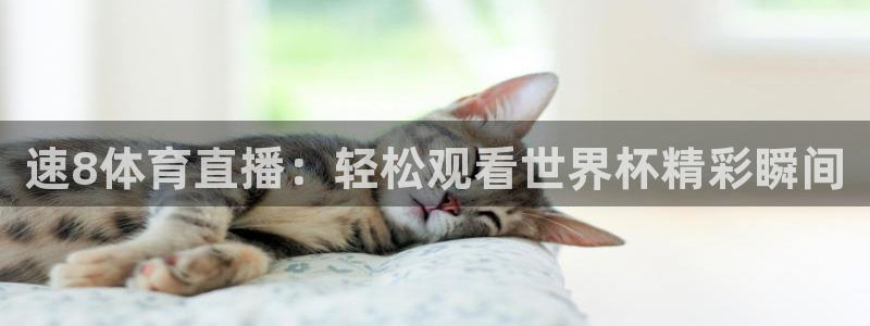 so米体育app：速8体育直播：轻松观看世界杯精彩瞬间