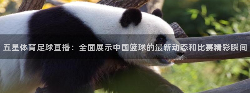 so米nba直播吧：五星体育足球直播：全面展示中国篮球的最新动态和比赛精彩瞬间