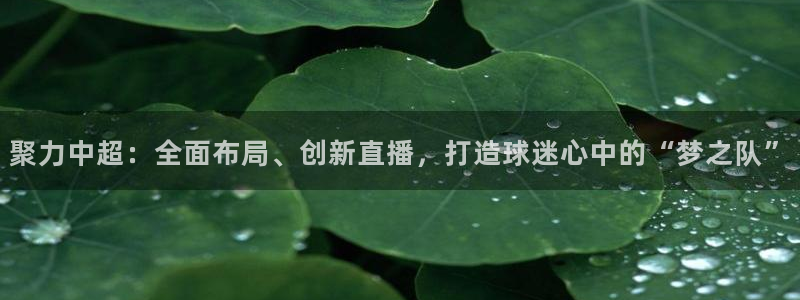 so米体育在线观看直播：聚力中超：全面布局、创新直播，打造球迷心中的“梦之队”