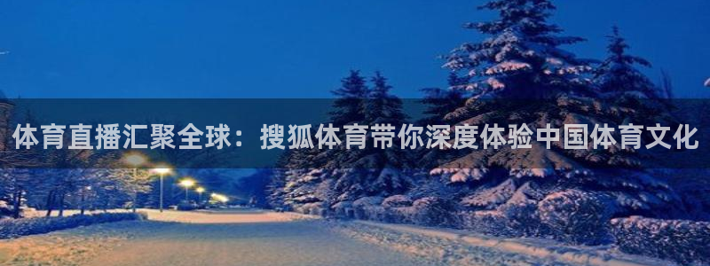 so米直播体育篮球：体育直播汇聚全球：搜狐体育带你深度体验中国体育文化